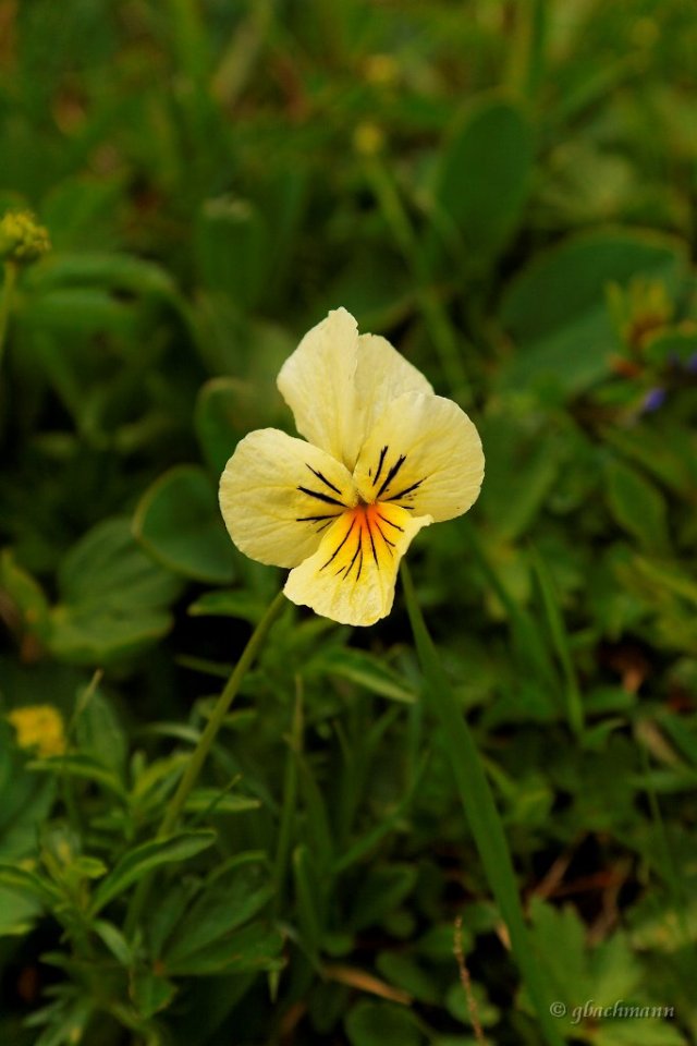 20090612_176_raw